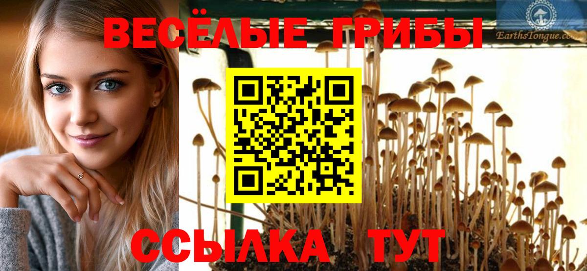 Псилоцибиновые грибы Magic Shrooms  Вход с VPN  Псилоцибиновые грибы ЛСД  купить наркоту  Ростов Великий 